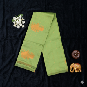 KANCHIVARAM PATTU SAREE